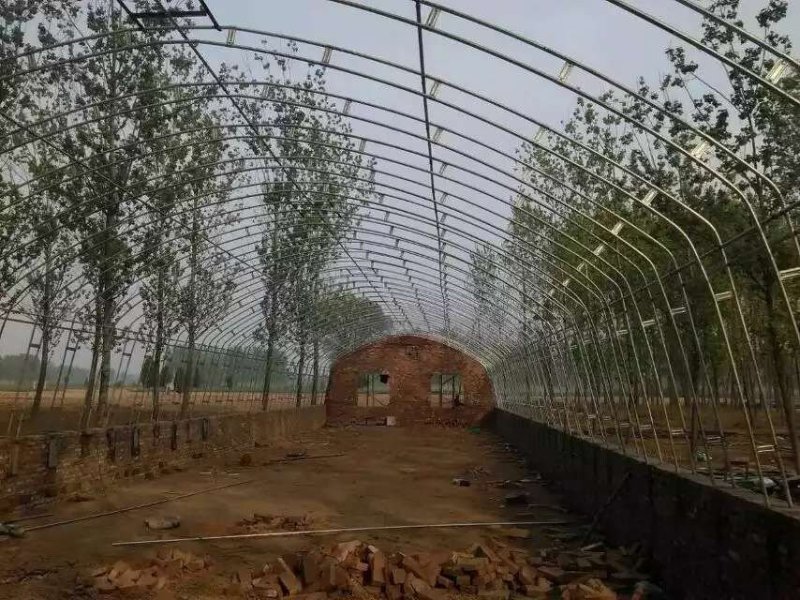 花卉大棚草莓大棚葡萄大棚骨架温室蔬菜养殖棚