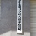 高山雲雾大方生态茶