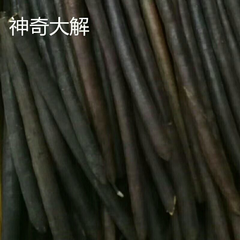 神奇大解缅甸进口便秘果天然随便果500g袋装男女通用包邮