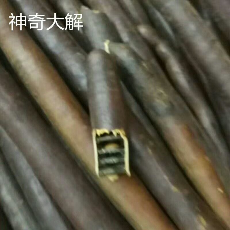 神奇大解缅甸进口便秘果天然随便果500g袋装男女通用包邮