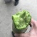 沙窝七星萝卜