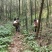 大瑶山古树野生红茶