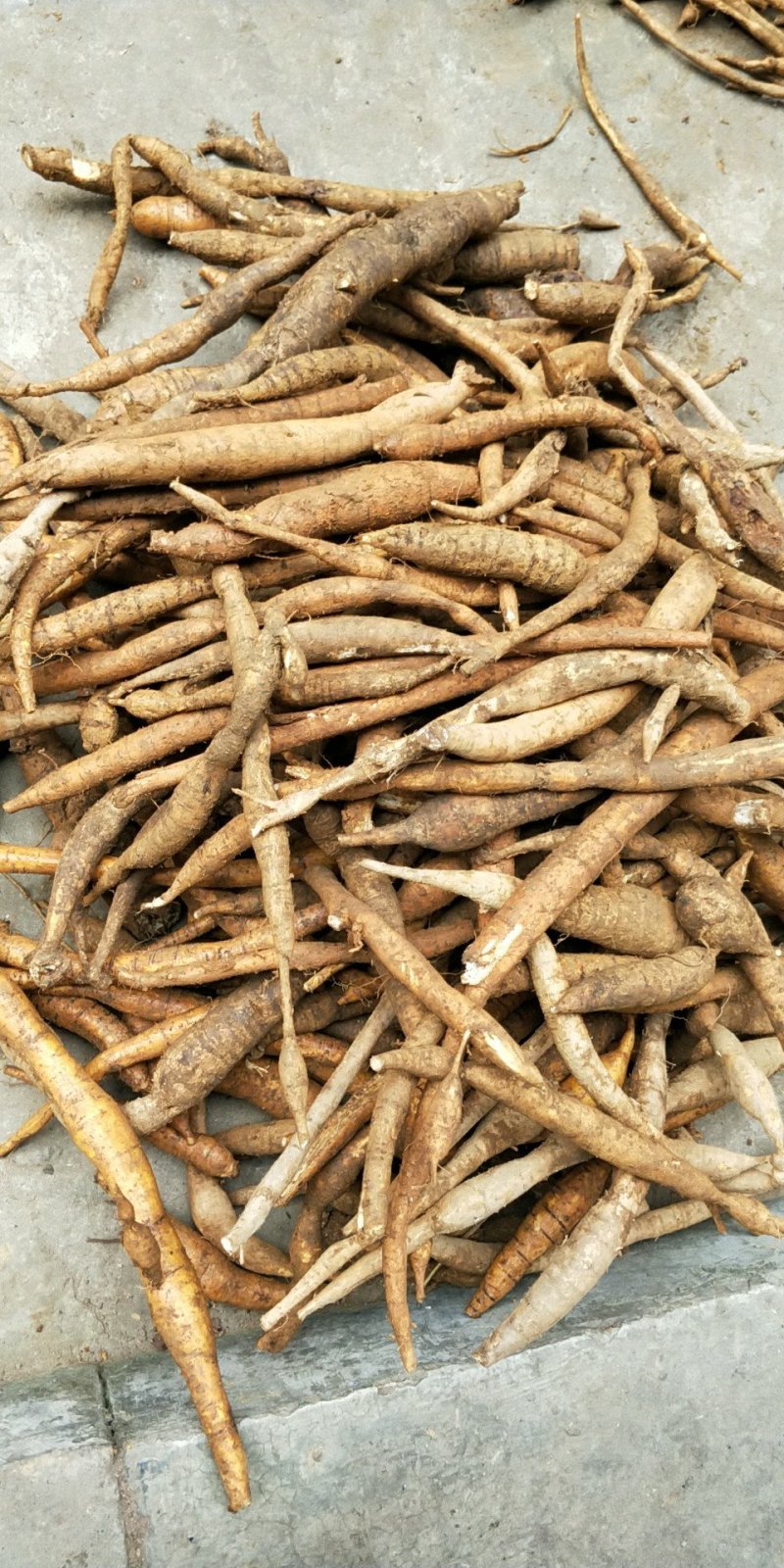 广西金秀大瑶山小叶野生牛大力干货、无硫磺、刮皮切片