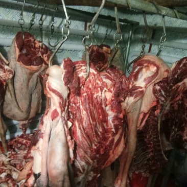 驴肉