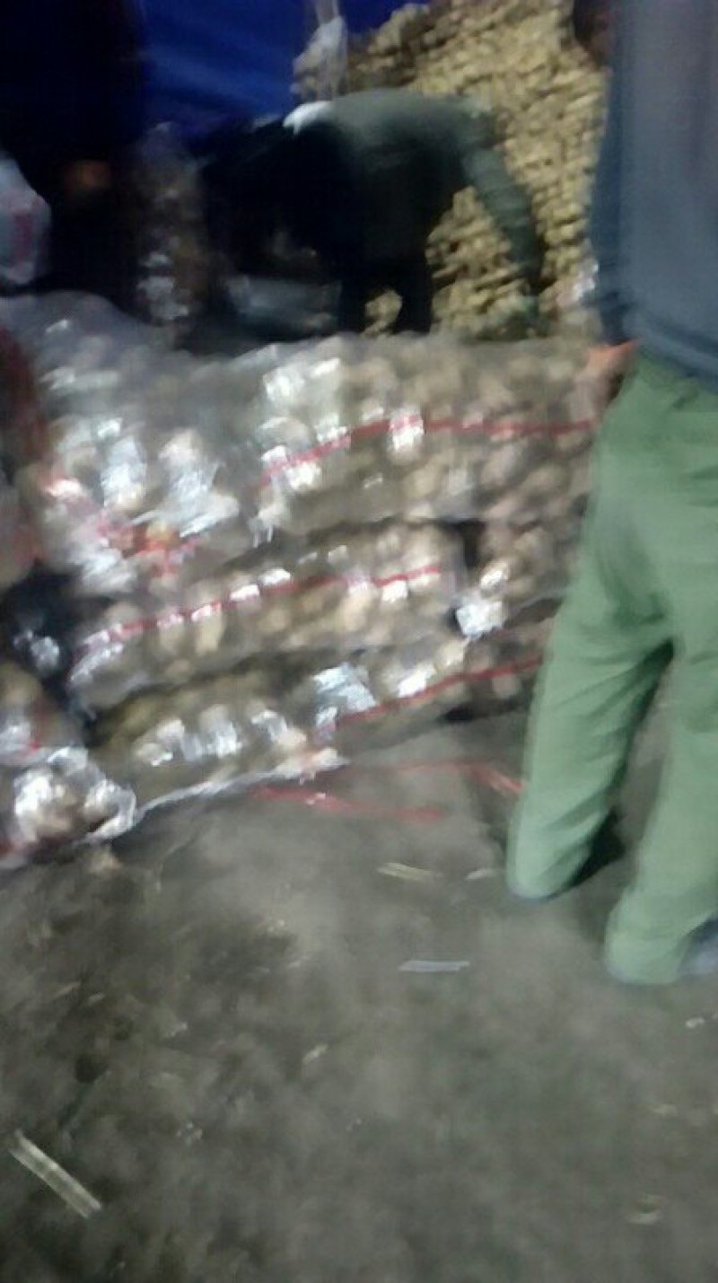 三两以上的荷兰806