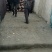 三两以上的荷兰806