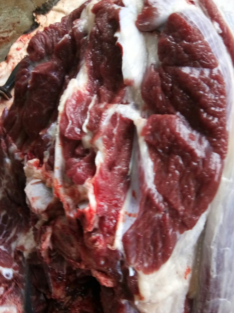 驴肉