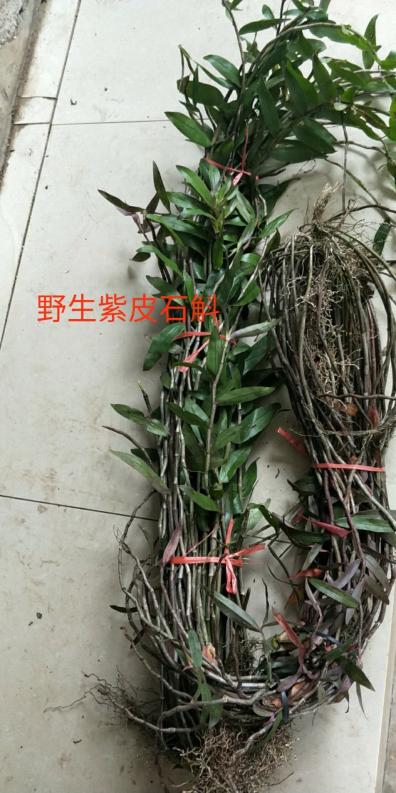 广西大瑶山野生紫皮石斛鲜货煮茶煲汤打汁泡酒