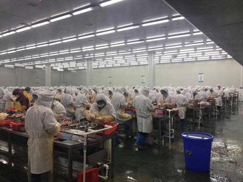 单冻龙虾尾一级