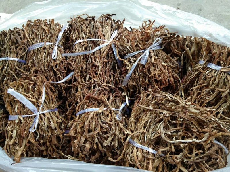 野生苦笋干、无硫磺、烤箱烤干