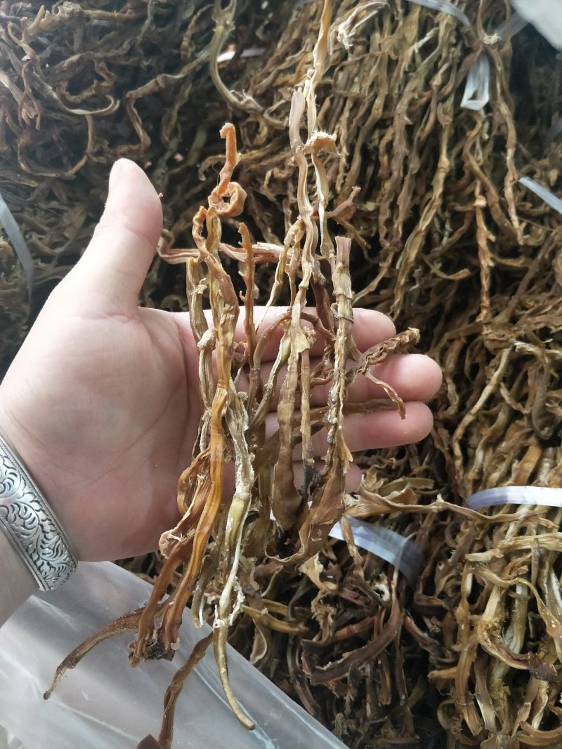 野生苦笋干、无硫磺、烤箱烤干