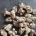 西洋参无磺六年软粒头5-7克促销热卖自产自销，质量保证。