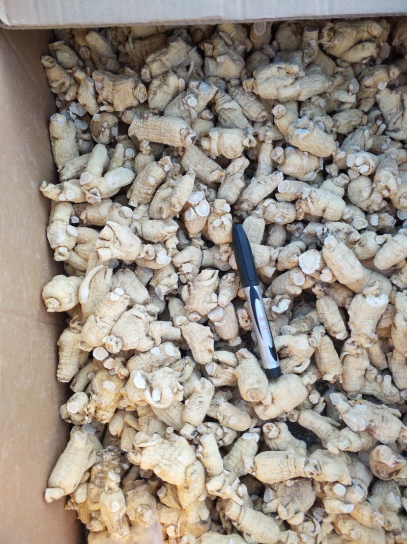西洋参无磺六年软粒头5-7克促销热卖自产自销，质量保证。