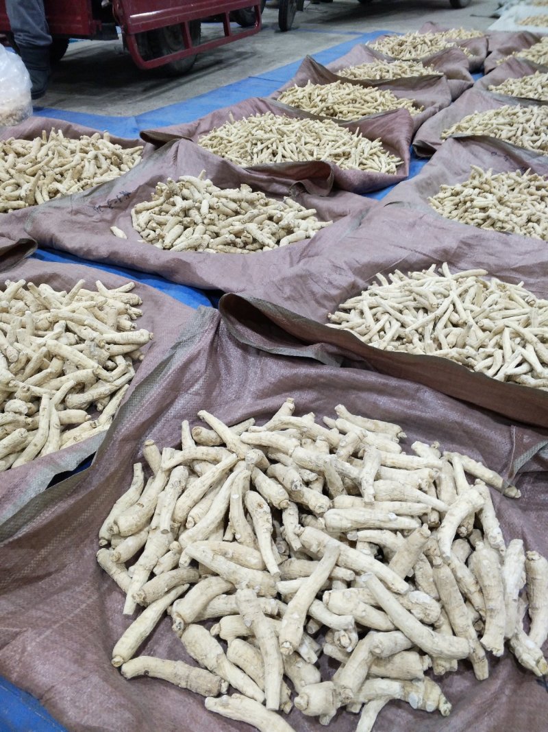 西洋参无磺六年软粒头5-7克促销热卖自产自销，质量保证。