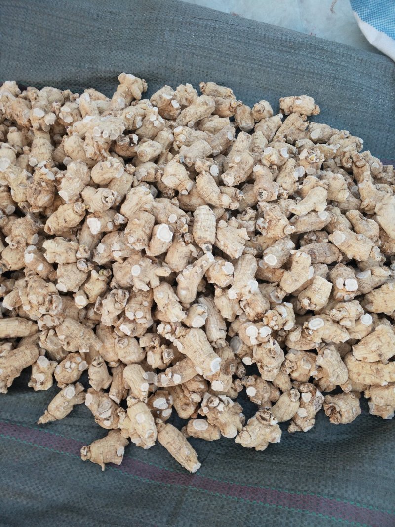 西洋参无磺六年软粒头5-7克促销热卖自产自销，质量保证。