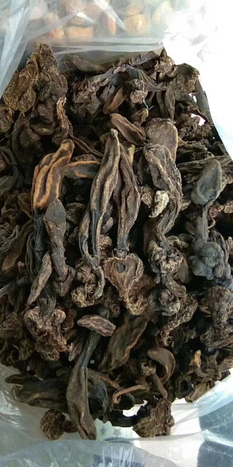 广西金秀大瑶山野生回春草、干货无硫磺