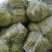 【优选】河北邯郸精品中甘甘蓝货源稳定产区发货价格优惠