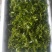 广西金秀大瑶山野生石崖茶、手工茶
