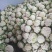 陕西汉中菜花，乳白紧花，单个1--3斤带叶