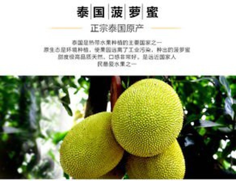 菠萝蜜泰国