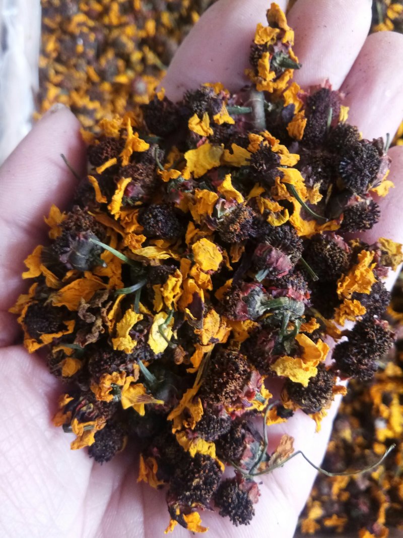 昆仑雪菊干品特级新疆野生一斤起包邮