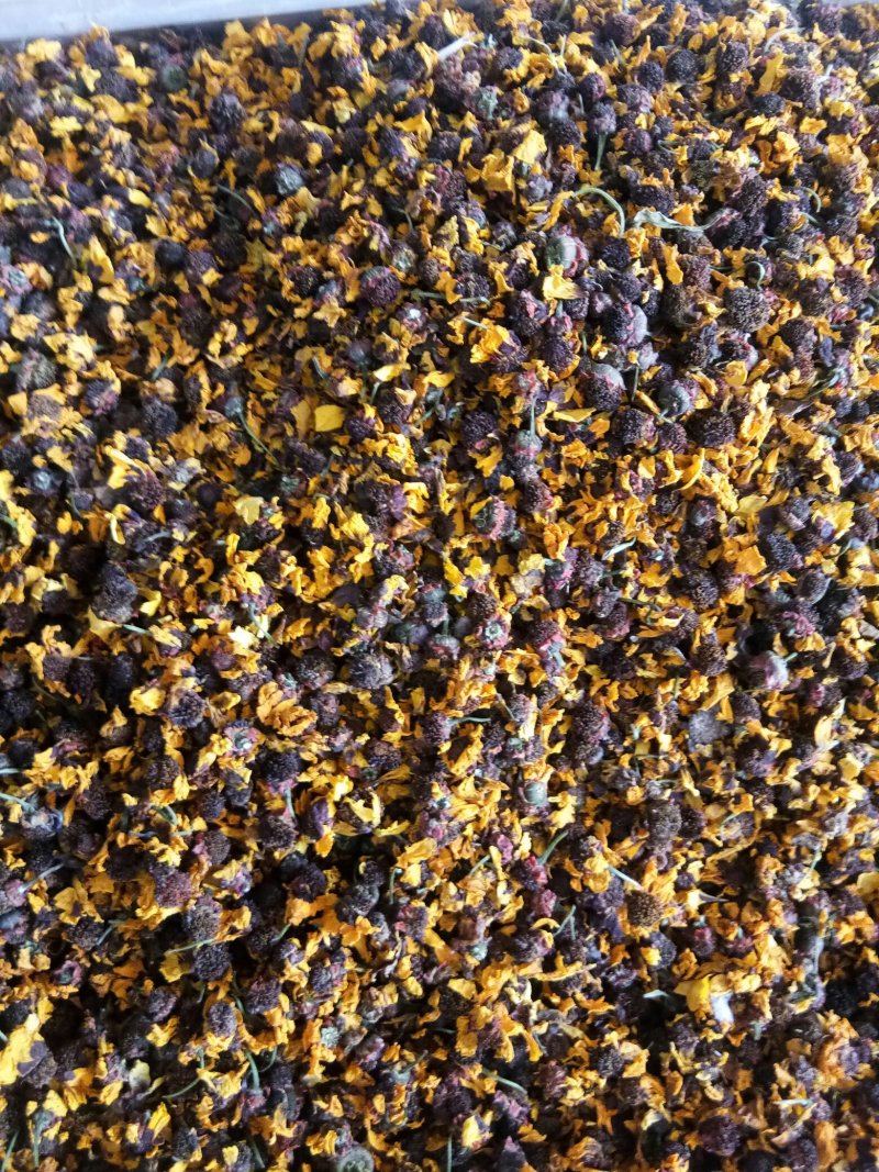昆仑雪菊干品特级新疆野生一斤起包邮