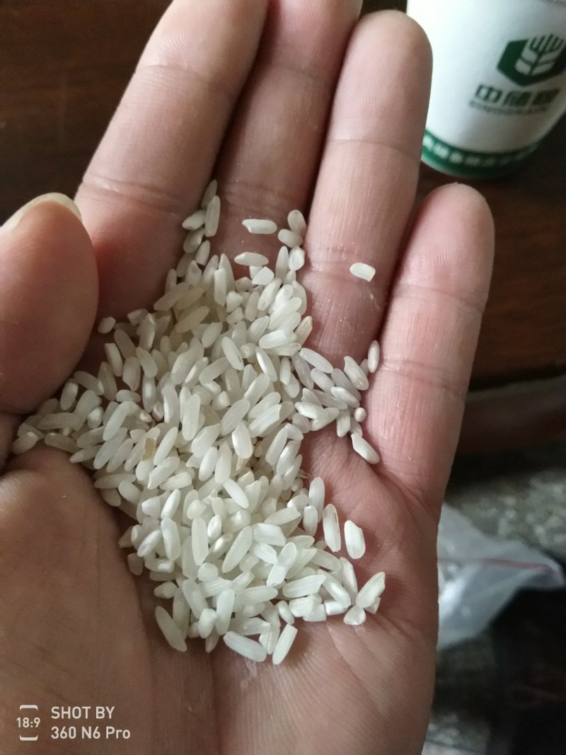 低价出售16年早稻，全部空调仓