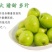 青枣
