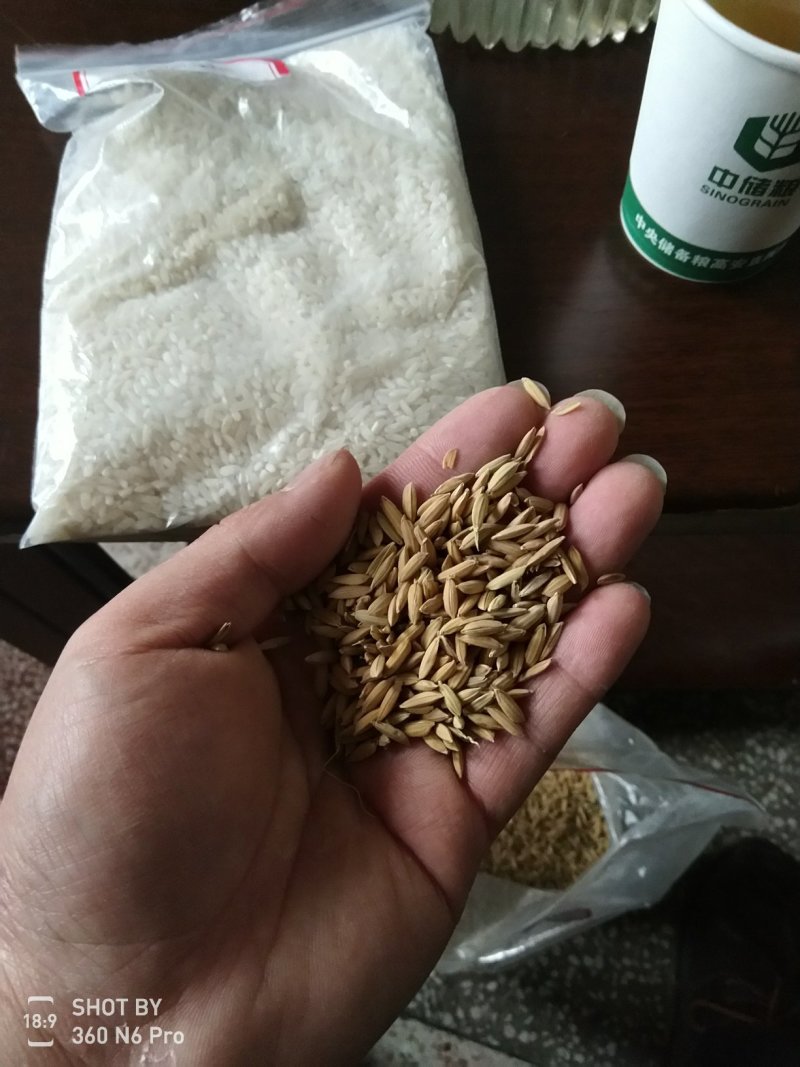 16年早稻谷大量有货，价格美丽