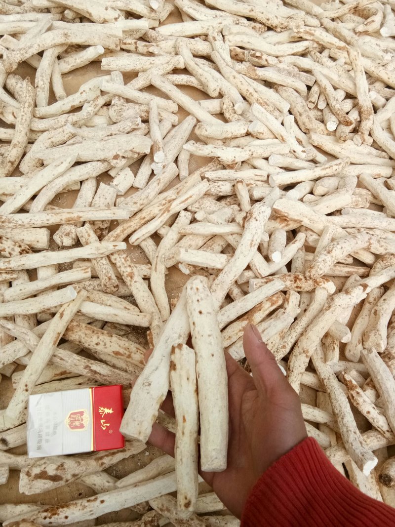 山药净条