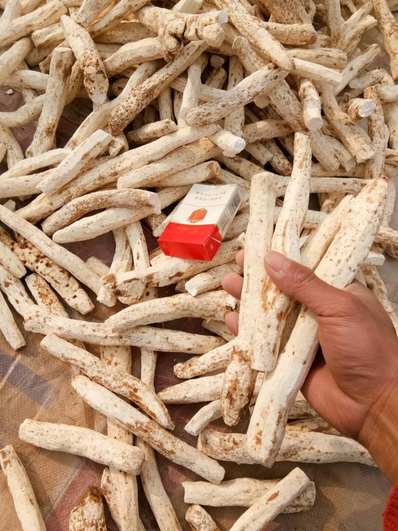 山药净条