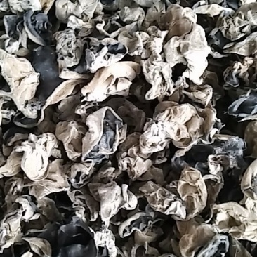 黑龙江木耳牡丹江第一茬黑木耳质量高产地直供欢迎来电
