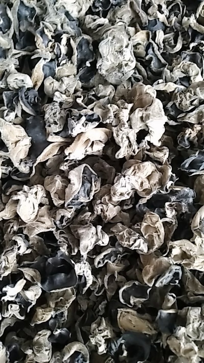 黑龙江木耳牡丹江第一茬黑木耳质量高产地直供欢迎来电