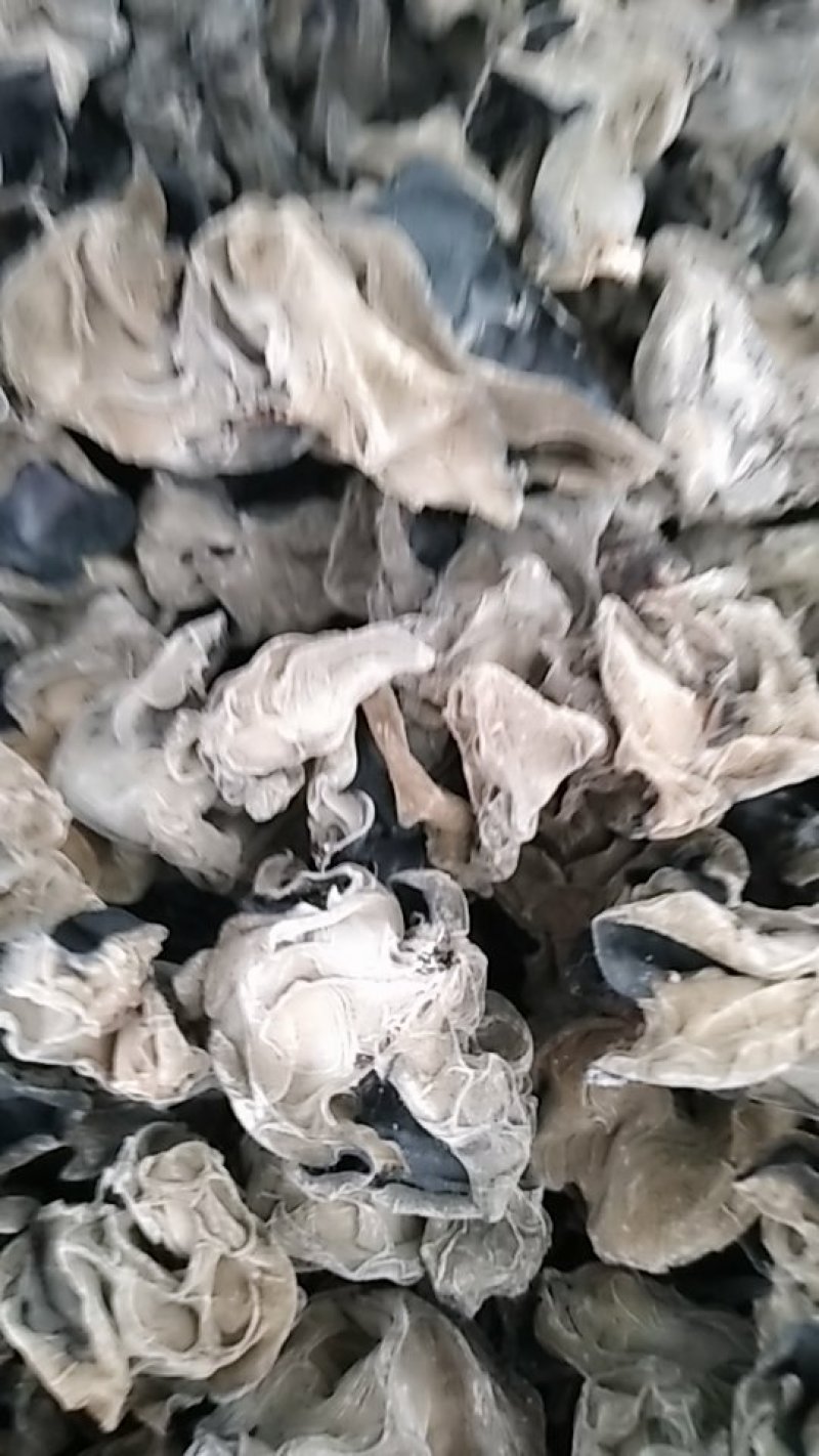 黑龙江木耳牡丹江第一茬黑木耳质量高产地直供欢迎来电