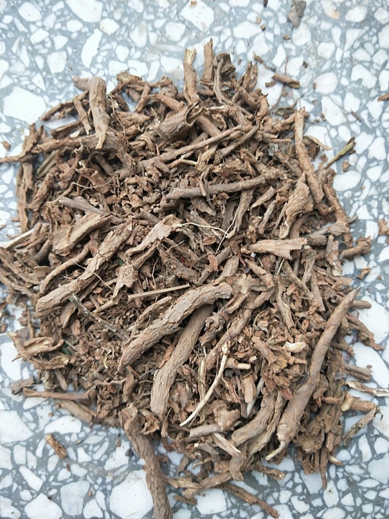 地骨皮