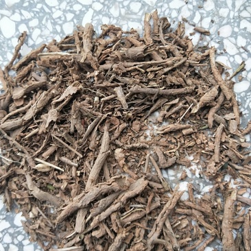 地骨皮
