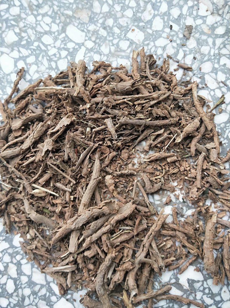 地骨皮