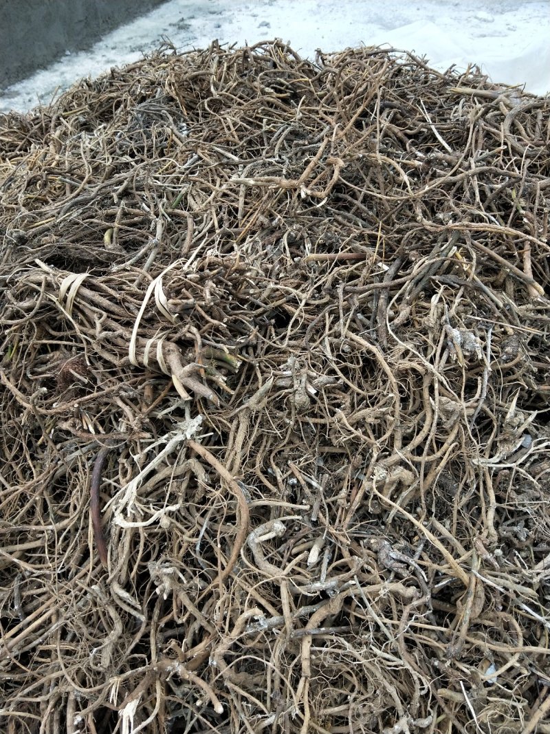 山豆根