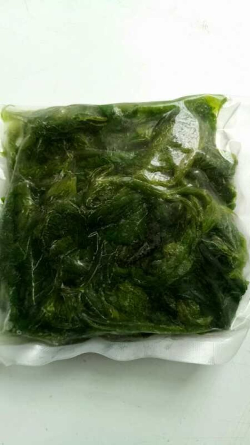 新鲜桑叶，冰鲜桑芽菜，品质保证，产地直销，无添加剂，绿色
