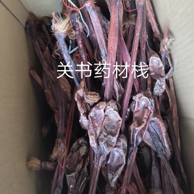 牛鞭正根50公分泡酒煲汤关书药业实拍图