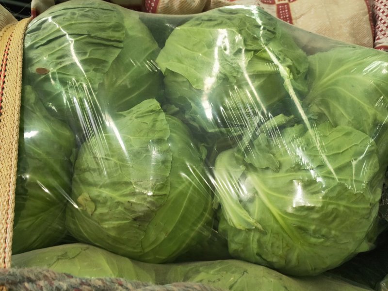 圆包菜，甘蓝绿甘蓝大量上市货源充足诚信经营