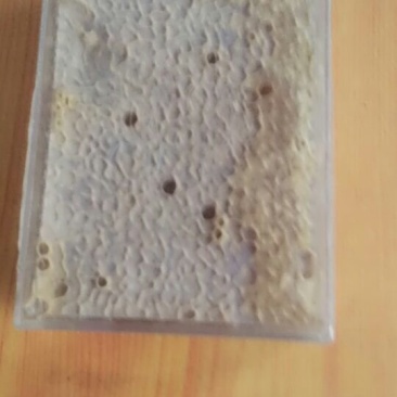 盒装老巢蜜