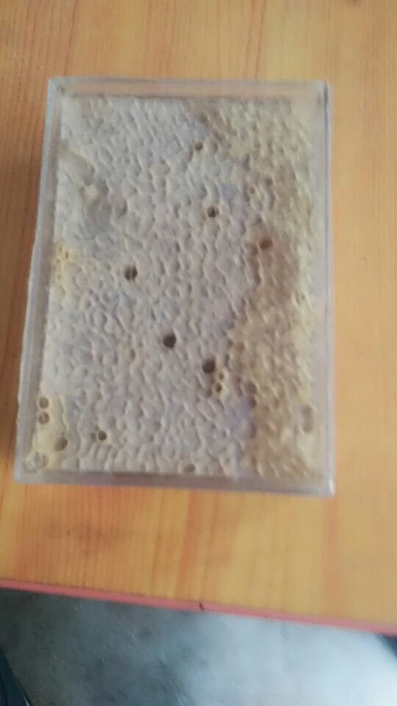 盒装老巢蜜
