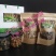 赤松茸干品野生化无农药无化肥有机食品，基地直供，一件代发