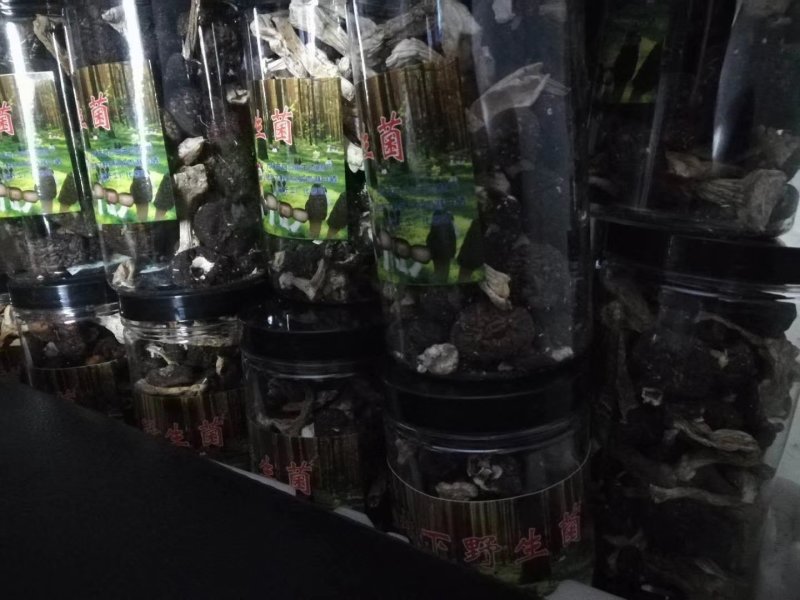 赤松茸干品野生化无农药无化肥有机食品，基地直供，一件代发
