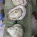 生蚝乳山生蚝鲜活生蚝肉新鲜大牡蛎带壳海蛎子贝类海鲜水产即