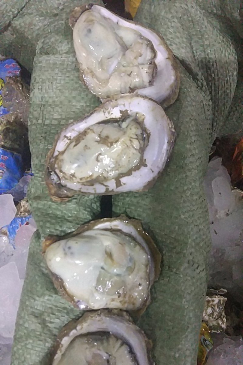 生蚝乳山生蚝鲜活生蚝肉新鲜大牡蛎带壳海蛎子贝类海鲜水产即