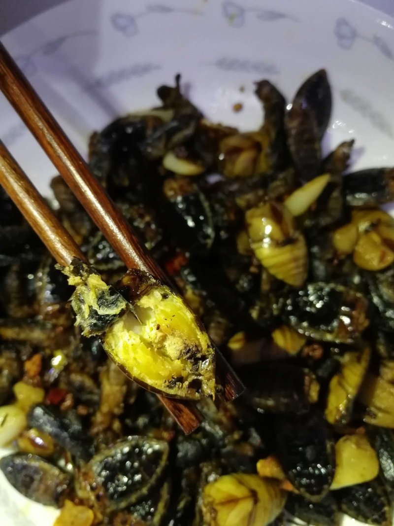 金边龙虱射尿龟水蟑螂产地直供活体速冻中号大号金边都有货