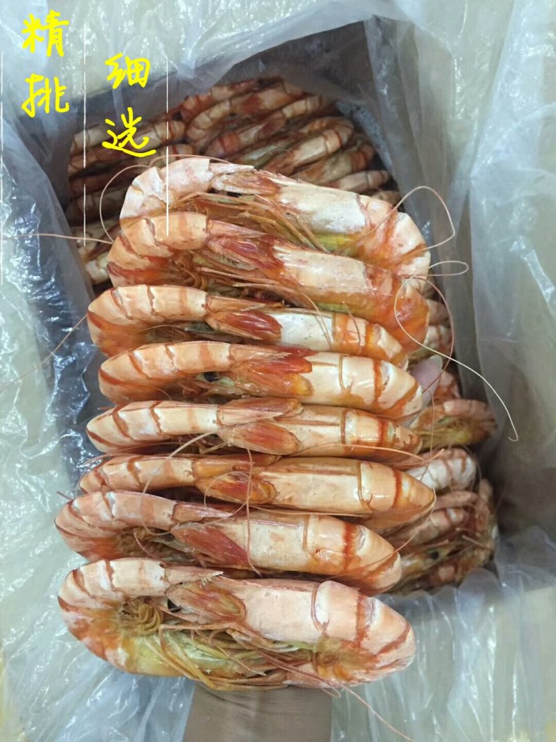 湛江斑节虾干