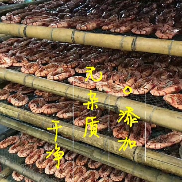 湛江斑节虾干